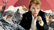 Sibylle Berg wird künftig alle zwei Wochen auf der Self-Publishing-Plattform Steady ihre Fans ansprechen...              (Screenshot Steady)