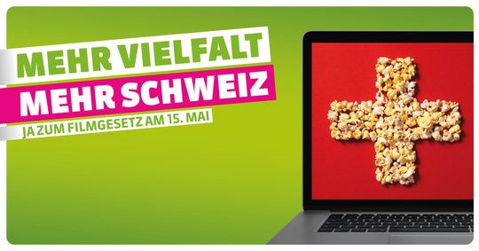 Der Abstimmungskampf ist angelaufen. Grüne Schweiz zum Beispiel sehen es anders als Swico...