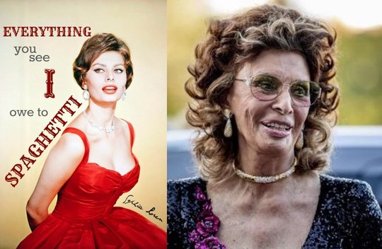Sie kann das Kochen nicht lassen: Sophia Loren will ihre Spaghetti jetzt sogar bis nach Dubai und Hongkong bringen...