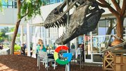 «Am Schluss bleibt die Frage, ob die Online-Dienste mitspielen werden», sagt Rechtsanwalt Martin Steiger. (Bild © Google)