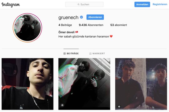 «Die geposteten Bilder sind nicht von uns», sagt die stellvertretende Grünen-Generalsekretärin Rahel Estermann... (Bild: Instagram)