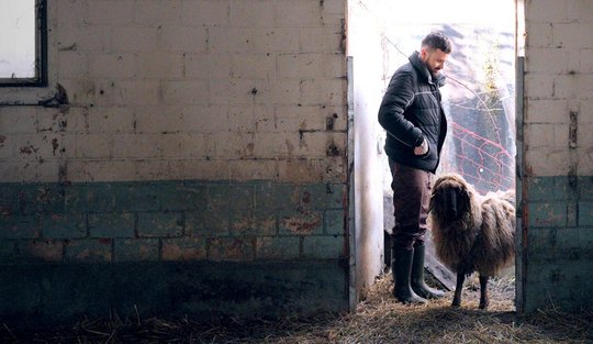Von wegen Romantik und Alpenglühen: Die Bauer und Bäuerinnen leiden häufig unter psychischen Erkrankungen...(Bild: SRF)