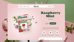 Für die Websites ausgezeichnet... (zVg)