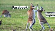 Beziehungsstatus: im Streit...                  (Bild: OnlineMarketing.de)