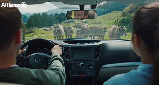 Eine unsanfte Begegnung mit «Crash Cows» zeigt, wie Versicherungsschutz im echten Leben funktioniert... (Bild: Screenshot Klein Report)