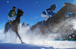 Withe Turf soll für Junge attraktiver werden