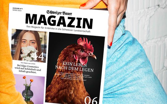 Das neue Magazin will «Kontraste» bieten und Brücken bauen zwischen Stadt und Land. (Bild zVg)