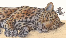 Rigo und Rosa sind Leopard und Maus