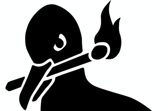 «Wenn schon Geschrei im Netz, dann richtig»: Ihre neue Online-Rubrik nennt die WOZ «Zoo». (Bild zVg)