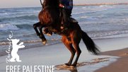 Berlinale-2024-goes-Antisemitism-wie-KleinReport-berichtet