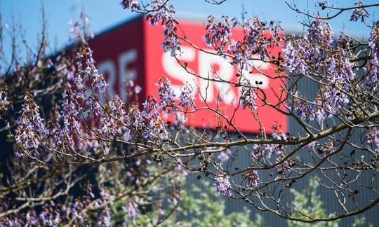 Bei der jüngsten Zielgruppe konnte SRF 1 um 0,5 Prozentpunkte zulegen... (©SRF)