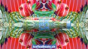 Die Jungen waren aufgefordert, aus Ice-Tee-Zutaten ihr persönliches Musikvideo zu mixen. Seit September steht «Wassermelone/Kiwi» in den Migros-Regalen.