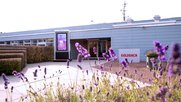Der «CityBreeze» kombiniert die digitale Werbefläche mit lebendigem Moos und einer innovativen Filter-Technologie eines Brandenburger Startups...    (Bild: Goldbach) 