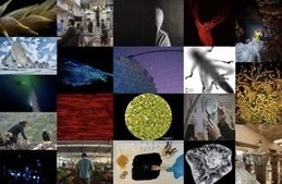 Die Bilder werden in Biel gezeigt... (© SNF)