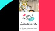 TikTok steht an verschiedenen Fronten unter Zugzwang: Hinweise zur Selbstbeschränkung in einem Blogpost...             (Bild: TikTok)